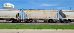 CRDX 20932